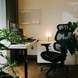 Cozy and modern home office setup with a stylish ergonomic chair, plants, and a desktop monitor. - Photo by Alpha En on Pexels