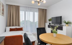 A bright modern studio apartment features a cozy living area with elegant decor. - Photo by Mateusz Pielech on Pexels